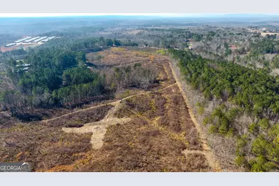 0 Steadman Road, Tallapoosa, GA 30176 - Photo 3