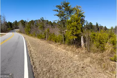 0 Steadman Road, Tallapoosa, GA 30176 - Photo 39