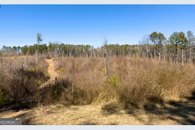 0 Steadman Road, Tallapoosa, GA 30176 - Photo 25