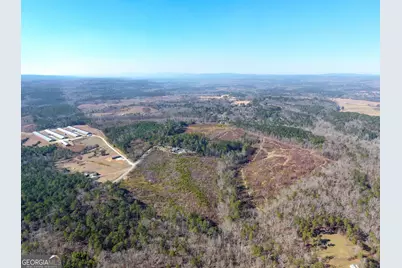 0 Steadman Road, Tallapoosa, GA 30176 - Photo 5