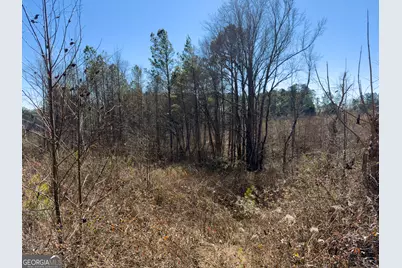 0 Steadman Road, Tallapoosa, GA 30176 - Photo 29