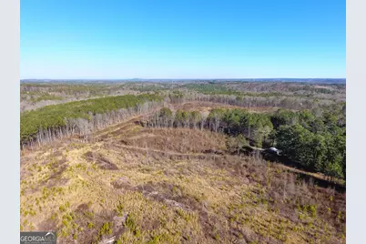 0 Steadman Road, Tallapoosa, GA 30176 - Photo 7