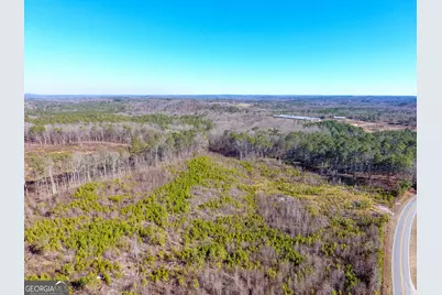 0 Steadman Road, Tallapoosa, GA 30176 - Photo 15