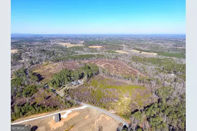 0 Steadman Road, Tallapoosa, GA 30176 - Photo 9