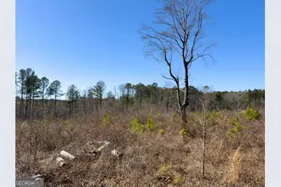 0 Steadman Road, Tallapoosa, GA 30176 - Photo 31