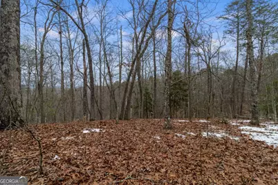 Tr4 Curtis Ridge Road #4, Blue Ridge, GA 30513 - Photo 11