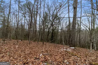 Tr4 Curtis Ridge Road #4, Blue Ridge, GA 30513 - Photo 3