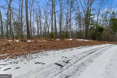 Tr4 Curtis Ridge Road #4, Blue Ridge, GA 30513 - Photo 5