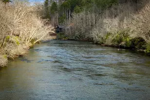 494 Riverbend Manor, Blue Ridge, GA 30513 - Photo 97