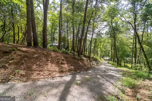 7869 Hwy 75 Alt, Helen, GA 30545 - Photo 61