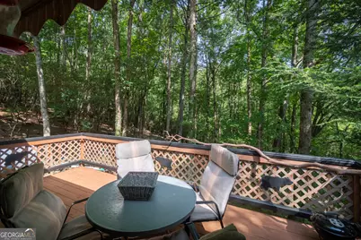 7869 Highway 75 Alt, Helen, GA 30545 - Photo 9