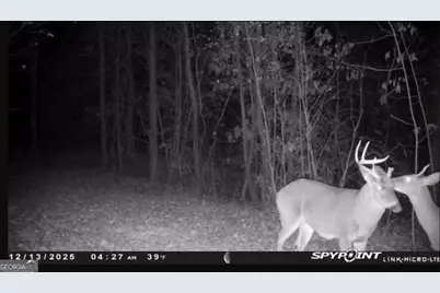 301 Beaver Dam Road, Toomsboro, GA 31090 - Photo 97