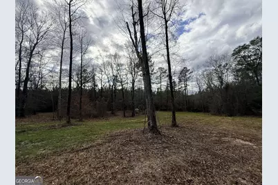 301 Beaver Dam Road, Toomsboro, GA 31090 - Photo 9