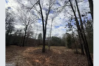 301 Beaver Dam Road, Toomsboro, GA 31090 - Photo 65