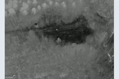 301 Beaver Dam Road, Toomsboro, GA 31090 - Photo 93