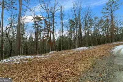 Lot 5 Curtis Ridge Road #5, Blue Ridge, GA 30513 - Photo 11