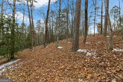 Lot 5 Curtis Ridge Road #5, Blue Ridge, GA 30513 - Photo 3