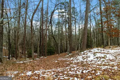 Lot 5 Curtis Ridge Road #5, Blue Ridge, GA 30513 - Photo 1