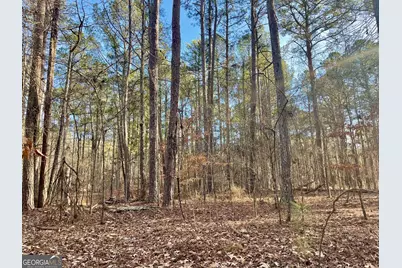0 Padgett Road #LOT 7, Senoia, GA 30276 - Photo 3