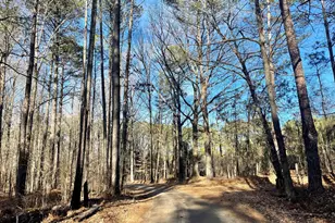 0 Padgett Rd, Senoia, GA 30276 - Photo 1