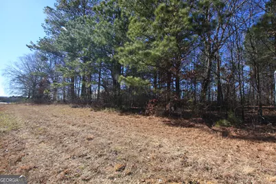 0 Calhoun Highway, Rome, GA 30161 - Photo 5