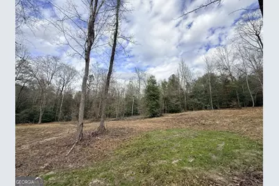 301 Beaver Dam Road, Toomsboro, GA 31090 - Photo 75