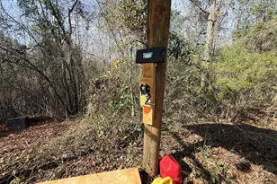 301 Beaver Dam Rd, Toomsboro, GA 31090 - Photo 59