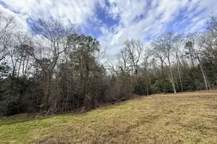 301 Beaver Dam Rd, Toomsboro, GA 31090 - Photo 79