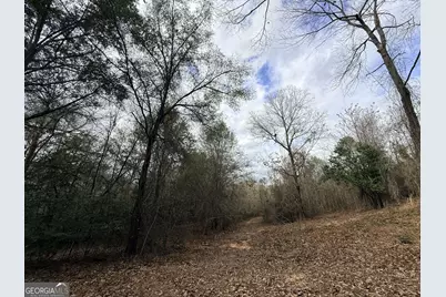 301 Beaver Dam Road, Toomsboro, GA 31090 - Photo 51