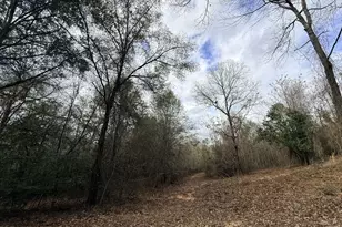 301 Beaver Dam Rd, Toomsboro, GA 31090 - Photo 51