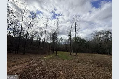 301 Beaver Dam Road, Toomsboro, GA 31090 - Photo 89