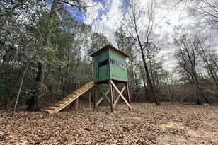 301 Beaver Dam Rd, Toomsboro, GA 31090 - Photo 61