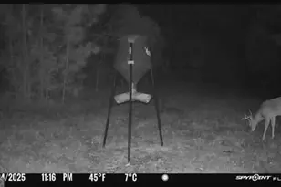 301 Beaver Dam Rd, Toomsboro, GA 31090 - Photo 97