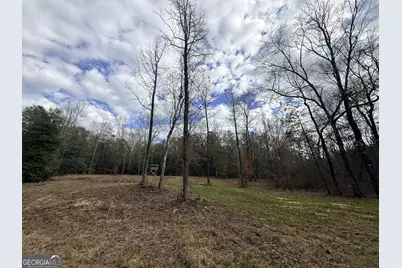 301 Beaver Dam Road, Toomsboro, GA 31090 - Photo 85