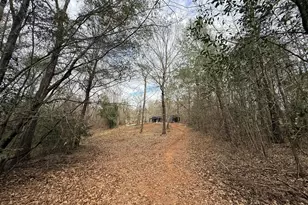 301 Beaver Dam Rd, Toomsboro, GA 31090 - Photo 49