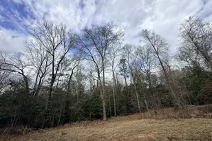 301 Beaver Dam Rd, Toomsboro, GA 31090 - Photo 87