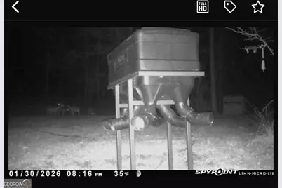 301 Beaver Dam Road, Toomsboro, GA 31090 - Photo 93