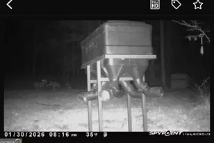 301 Beaver Dam Rd, Toomsboro, GA 31090 - Photo 93