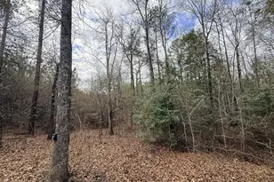 301 Beaver Dam Rd, Toomsboro, GA 31090 - Photo 81