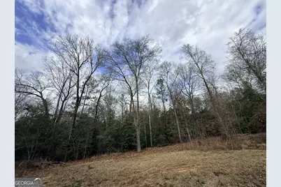 301 Beaver Dam Road, Toomsboro, GA 31090 - Photo 89