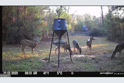 301 Beaver Dam Road, Toomsboro, GA 31090 - Photo 93