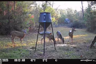 301 Beaver Dam Rd, Toomsboro, GA 31090 - Photo 93