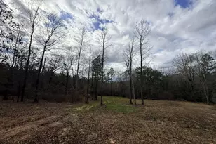 301 Beaver Dam Rd, Toomsboro, GA 31090 - Photo 91