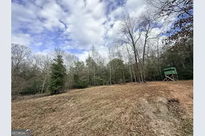 301 Beaver Dam Road, Toomsboro, GA 31090 - Photo 73