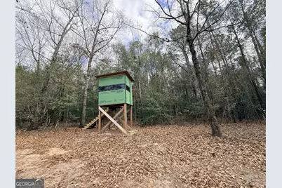 301 Beaver Dam Road, Toomsboro, GA 31090 - Photo 49