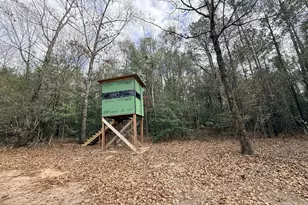 301 Beaver Dam Rd, Toomsboro, GA 31090 - Photo 49