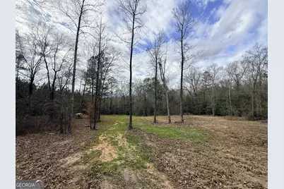 301 Beaver Dam Road, Toomsboro, GA 31090 - Photo 73