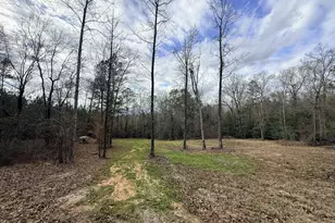 301 Beaver Dam Rd, Toomsboro, GA 31090 - Photo 73