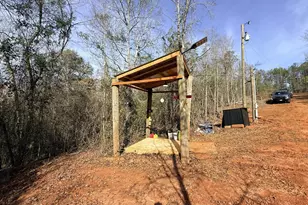 301 Beaver Dam Rd, Toomsboro, GA 31090 - Photo 57