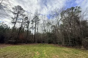 301 Beaver Dam Rd, Toomsboro, GA 31090 - Photo 81